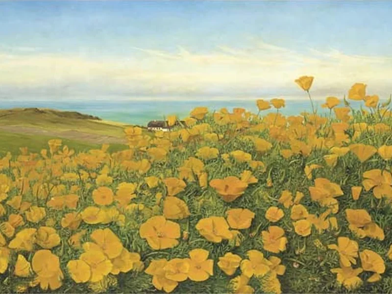 1861-Johanne Frimodt - Un campo di ranuncoli vicino alla costa